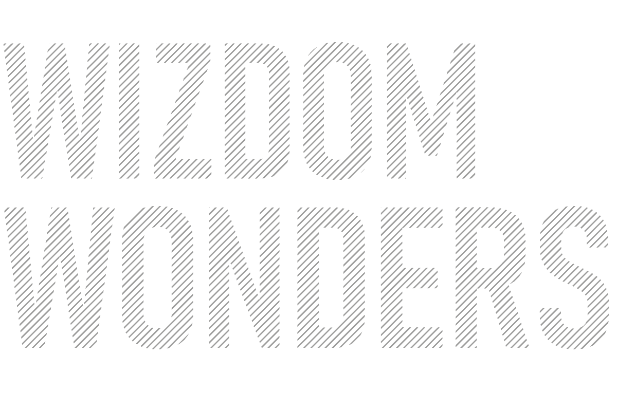 wizdom-wonders-1